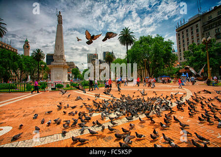 Piccioni in Plaza de Mayo, sito di fondazione della città di Buenos Aires, Argentina Foto Stock