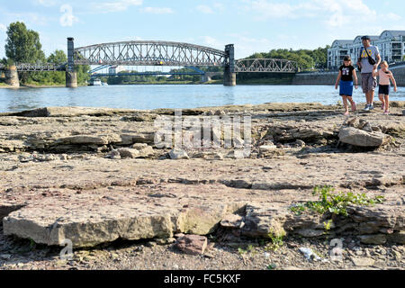 Asciutto alveo del fiume Elba vicino a Magdeburgo Foto Stock