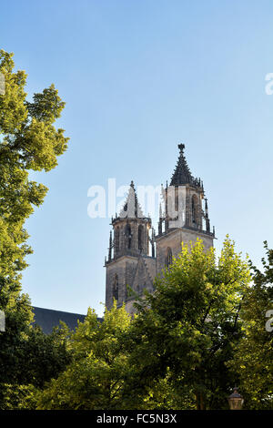 La Cattedrale di Magdeburgo Foto Stock