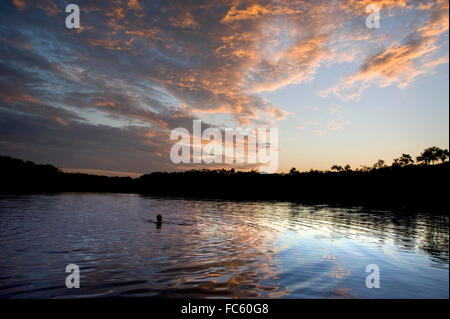 Persona nuotare nel fiume del Amazon Foto Stock