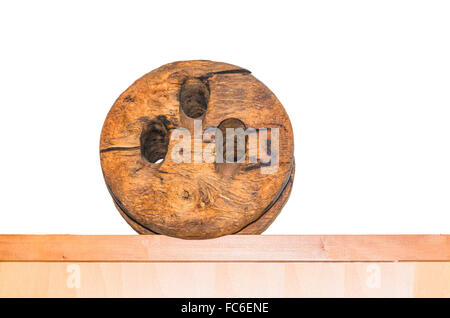 Antiquariato puleggia in legno Foto Stock
