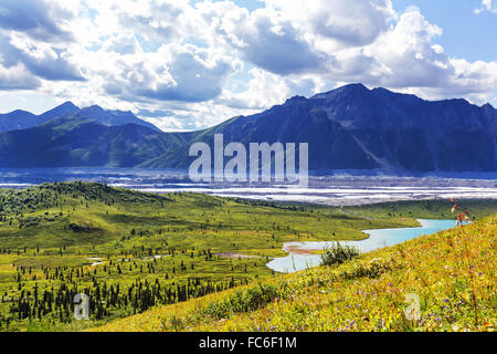 .Wrangell-St Elias NP Foto Stock