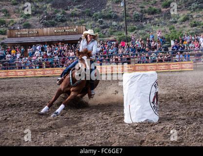 Rodeo donna Barrel racing Foto Stock