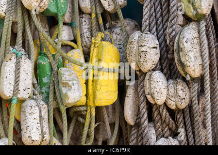 Boe e corde Foto Stock