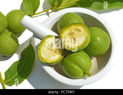 Green giovani noci in cartocci Foto Stock