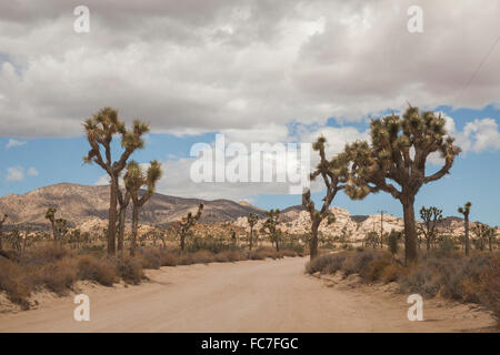 Strada vuota nella rurale il paesaggio del deserto Foto Stock