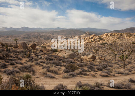 Strada sterrata in remoto il paesaggio del deserto Foto Stock