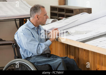 Architetto caucasici in carrozzella lavoro in ufficio Foto Stock