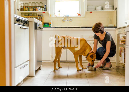 La donna caucasica cane di alimentazione in cucina Foto Stock