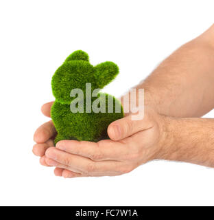 Coniglio fatti di erba in mani Foto Stock