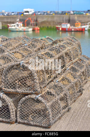 Aragosta e granchio trappole in porto Foto Stock