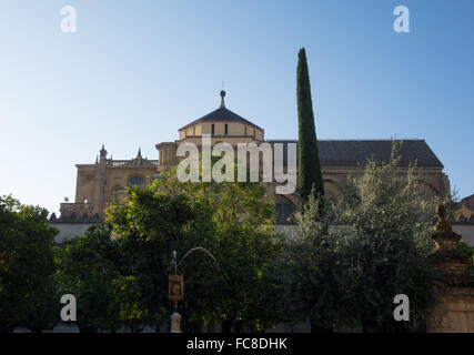 La Giralda di Siviglia in Spagna Foto Stock