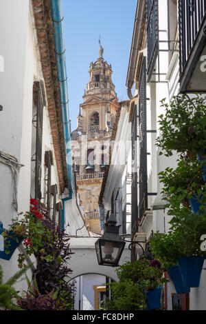 Strada di fiori in Cordoba in Spagna Foto Stock