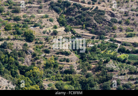 Faming Bayarcal in terrazze in Spagna Foto Stock