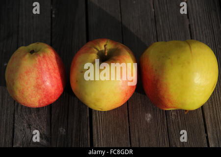 Apple-sort Reanda Foto Stock