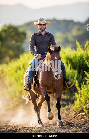 American Quarter Horse. Cavaliere a cavallo western in galoppo. Italia Foto Stock