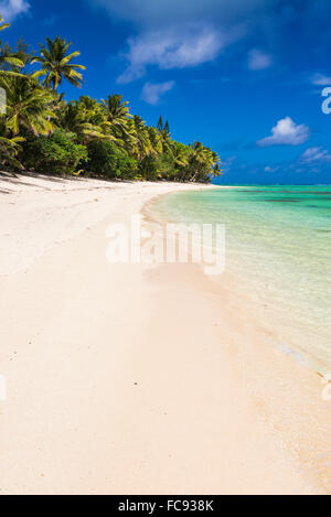 Spiaggia di sabbia bianca e palme tropicale sull'Isola di Rarotonga Isole Cook, South Pacific Pacific Foto Stock