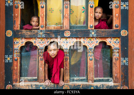 Giovane debuttante monaci nella finestra della loro quartieri, Punakha, Bhutan, Asia Foto Stock