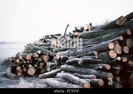 Rotoli tagliati giù pronto per la combustione del legno incendi coperto in inverno il ghiaccio nel paese Foto Stock