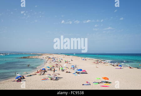 Ses Ilettes, Infinity sulla spiaggia di Formentera, isole Baleari, Spagna, Mediterraneo, Europa Foto Stock
