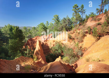 Les Sentiers des Ocres, rocce color ocra, Sentiero Natura, Roussillon, Provenza, Provence-Alpes-Côte d'Azur, in Francia meridionale, Francia Foto Stock