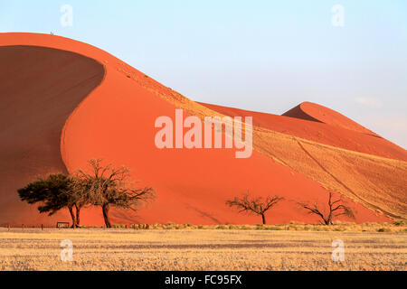 Dune 45 la stella dune composta da 5 milioni di anni di sabbia, Sossusvlei, Namib Desert, Namib Naukluft National Park, Namibia Foto Stock