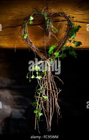 Ivy in forma di cuore, Regno Unito, Europa Foto Stock