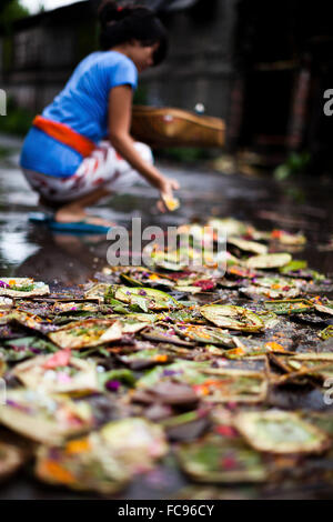 Una signora dà la sua offerta quotidiana di Bali, Indonesia, Asia sud-orientale, Asia Foto Stock