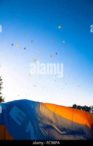 DEU, Germania, regione di Sauerland, Warstein, International Balloon Festival in Warstein [il balloon festival in Warstein è la bi Foto Stock