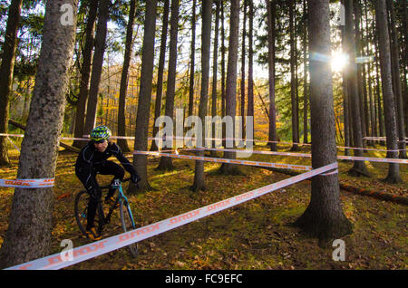 Un ciclista huffs e tirate il suo modo attraverso un web intrecciate di selvicoltura autunnali. Foto Stock