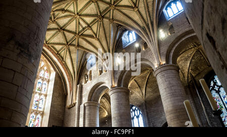 Fotocamere digitali Olympus Tewkesbury Abbey Gloucester. magnifico lierne vaulting, Foto Stock