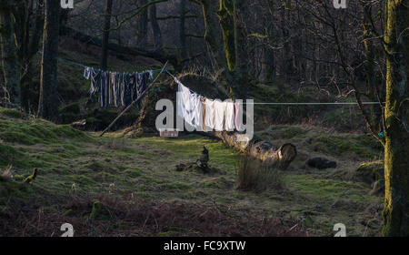 Essiccare il lavaggio nel bosco in prossimità di Hodge ha vicino Quarry Cumbria Foto Stock