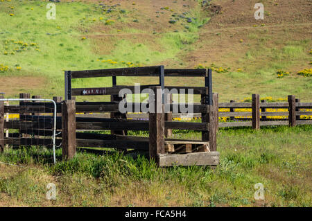 Staccionata in legno e scivolo di bestiame utilizzato per caricare il bestiame per la spedizione. Dalles Mountain Ranch, Lyle, Washington, Stati Uniti d'America Foto Stock