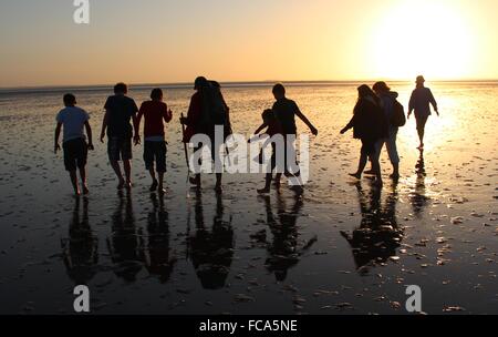 Piana di fango vagare al tramonto Foto Stock