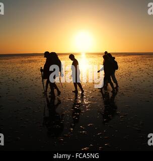 Piana di fango vagare al tramonto Foto Stock