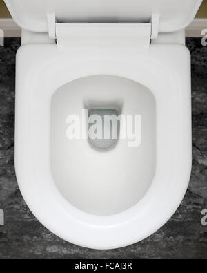 Toilet Bowl Foto Stock