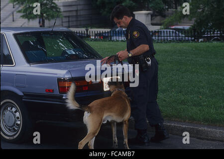 Washington, DC, Stati Uniti d'America, 1996 uniformata del servizio segreto K-9 ufficiale ha il suo cane annusare il tronco di un automobile parcheggiata sulla Casa Bianca viale. Questo è uno dei cani che è addestrato a usare il suo naso a fiutare l esplosivi. Credito: Mark Reinstein Foto Stock