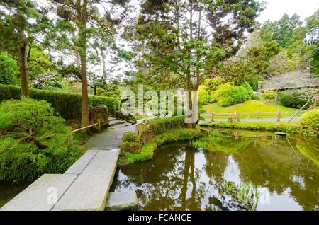 Il giardino giapponese del tè in Golden Gate Park di San Francisco, California, Stati Uniti d'America. Una vista della nativa giapponese Foto Stock