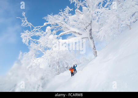 Due felici sciatori femmina in un bellissimo paesaggio invernale con intonaco bianco congelati alberi, vicino a Kiroro ski resort su Hakkaido, Foto Stock