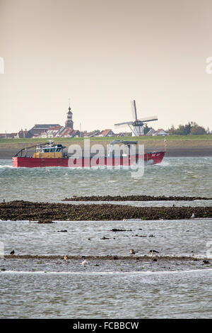 Paesi Bassi, Ouwerkerk, Oosterschelde estuario. Le cozze, le cozze barche. Villaggio di Stavenisse su Tholen penisola. Gli uccelli sulla banca oyster Foto Stock