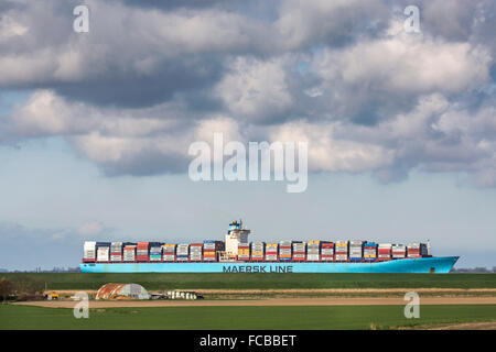 Paesi Bassi, Ossenisse, fiume Westerschelde. Nave Container Foto Stock