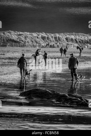 Passeggiando per i cani Foto Stock