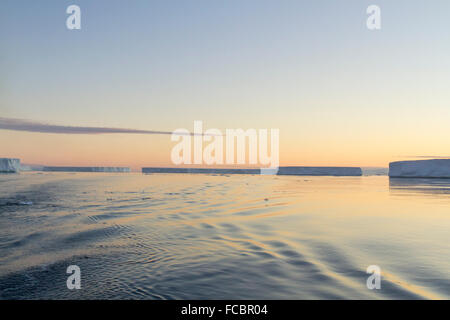 Campo dei granuli tabulari di iceberg in Antartide Suono, Antartide al tramonto. Foto Stock