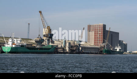 Il porto di Belfast, Belfast Lough, Irlanda del Nord. Foto Stock