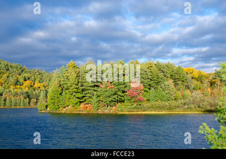 Lago di foresta nella soleggiata giornata aurumn in Canada Foto Stock