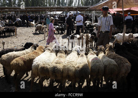 Commercio di bestiame nel mercato di domenica a Kashgr, provincia dello Xinjiang, Repubblica Popolare di Cina Foto Stock