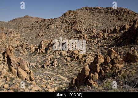 Valle e trail in Grapevine Hills - eroso roccia ignea - resti di un laccolith; Parco nazionale di Big Bend, Texas. Foto Stock