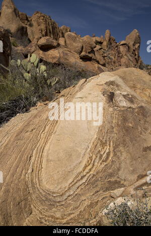 Resistenza agli agenti atmosferici di Onionskin di roccia ignea - resti di un laccolith - in The Grapevine colline, parco nazionale di Big Bend, Texas. Foto Stock