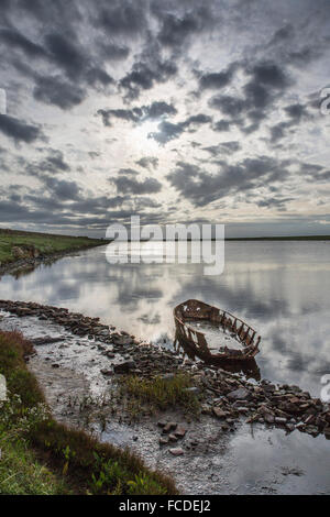 Paesi Bassi, Kerkwerve, riserva naturale Prunje, parte del Parco Nazionale di Oosterschelde. Relitto di una piccola imbarcazione Foto Stock