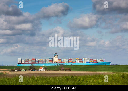 Paesi Bassi, Ossenisse, fiume Westerschelde. Nave Container Foto Stock